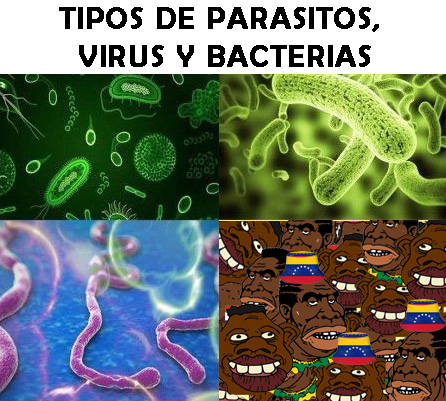 1754004883387.jpeg
