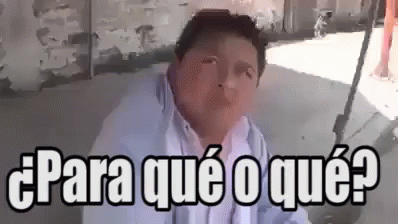 ParaQueOQueMemeGIF.gif