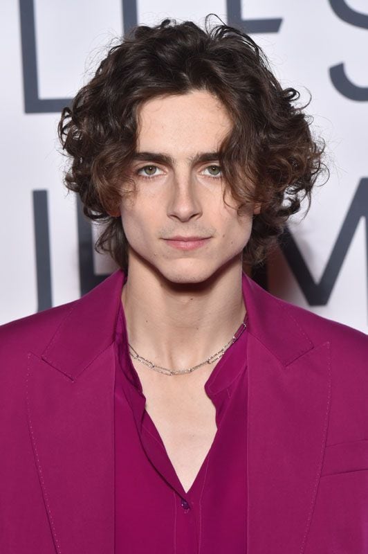 Timothée Chalamet, ¿quién es el nuevo actor de moda en Hollywood?