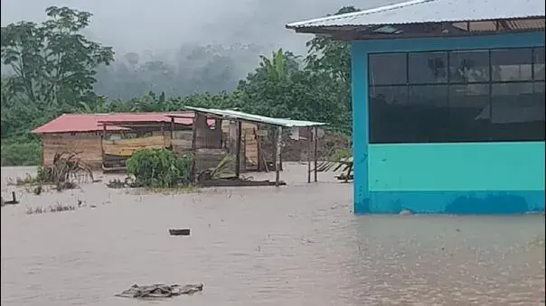 Cleto se dio cuenta que este evento natural inundó alrededor de 11 viviendas y afectó a 18 agricultores los cuales perdieron totalmente sus sembríos de plátano, yuca, cacao, y otros cultivos más que son fuente principal de su economía. 
