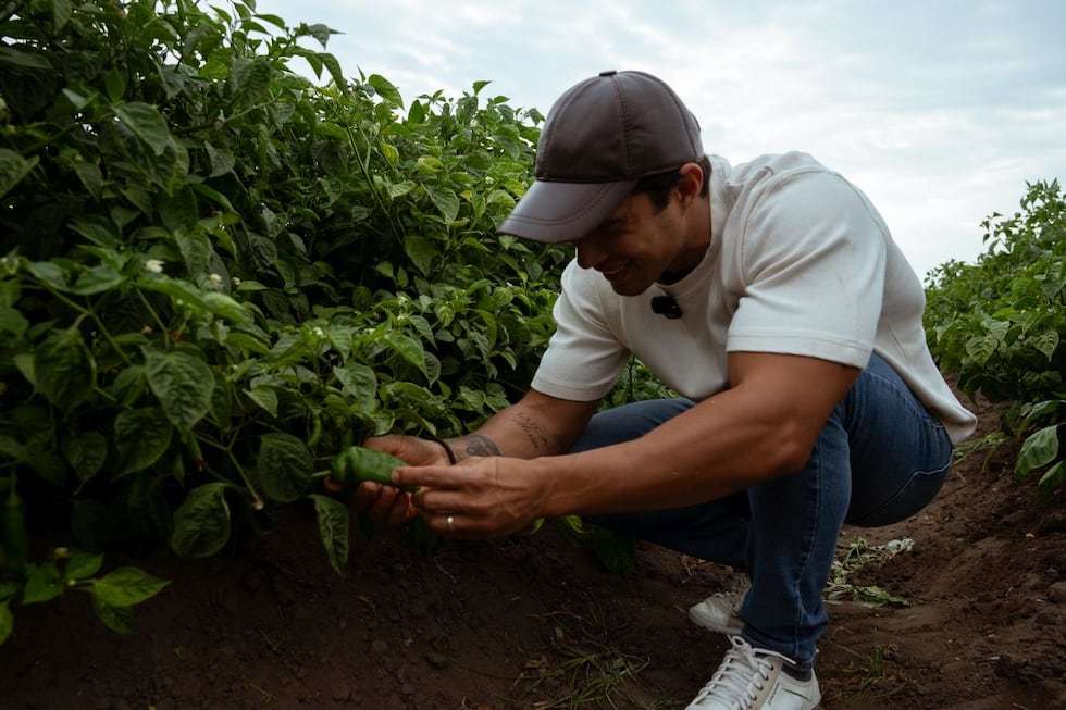 Durante sus viajes por el Perú, Fernandini no solo visitó restaurantes, sino también agricultores. En Chiclayo, por ejemplo, recorrió una plantación de ajíes. (Foto: Fernandini Restaurante)