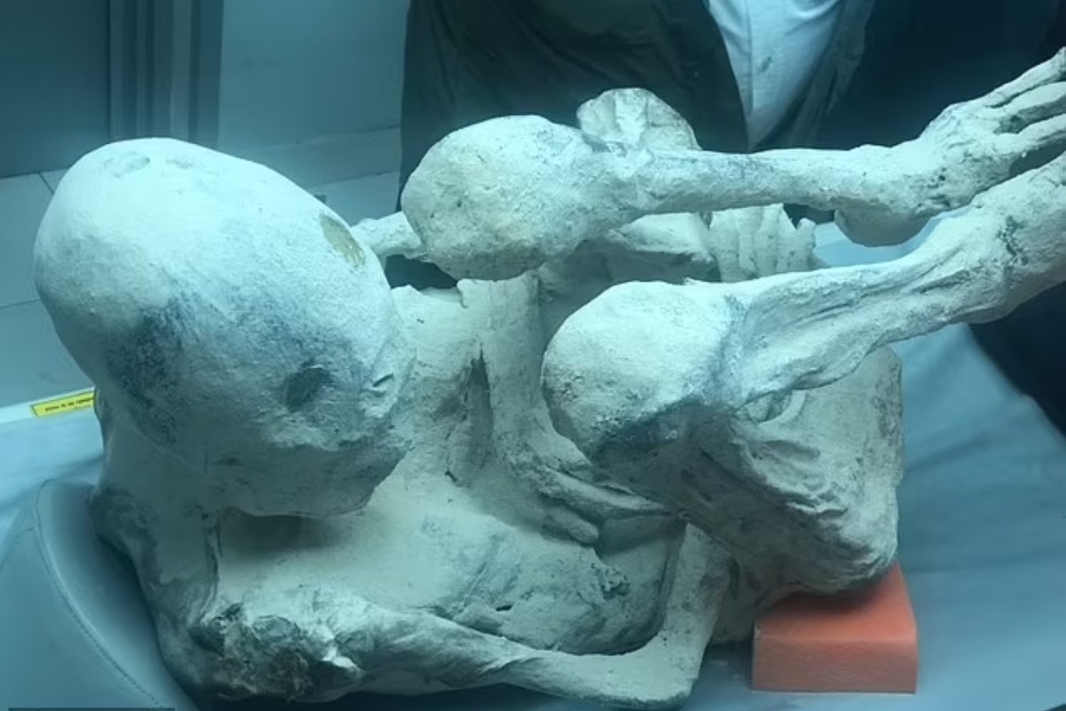 Científicos afirman que las momias alienígenas de Perú son reales tras nuevos hallazgos