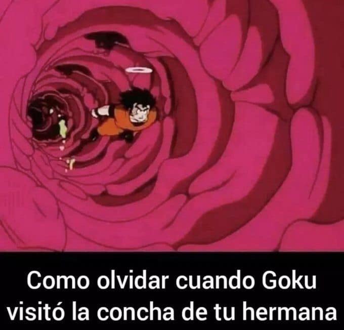 Goku-Concha.jpg