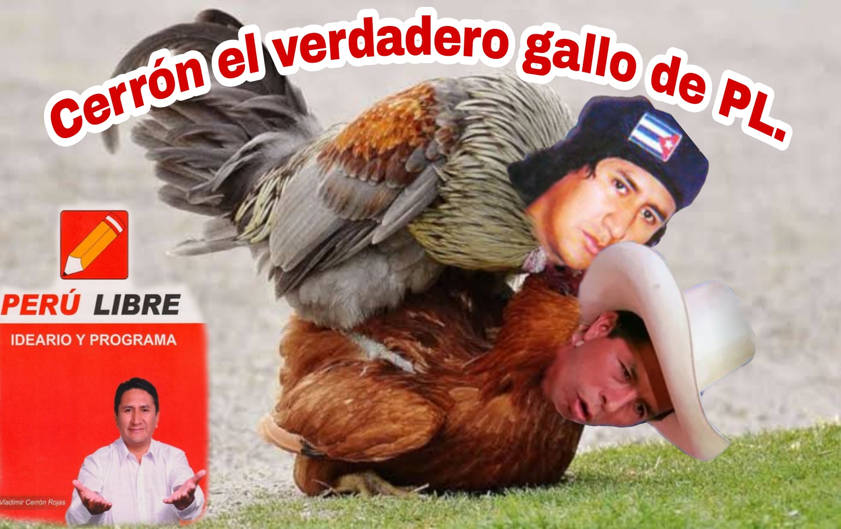 39ZQLG2.jpg