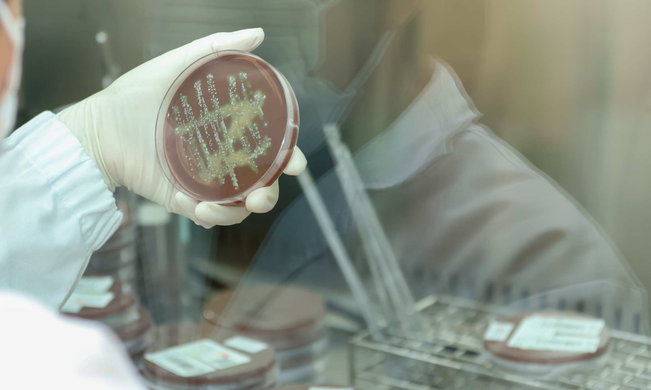sciencemediacentre.es