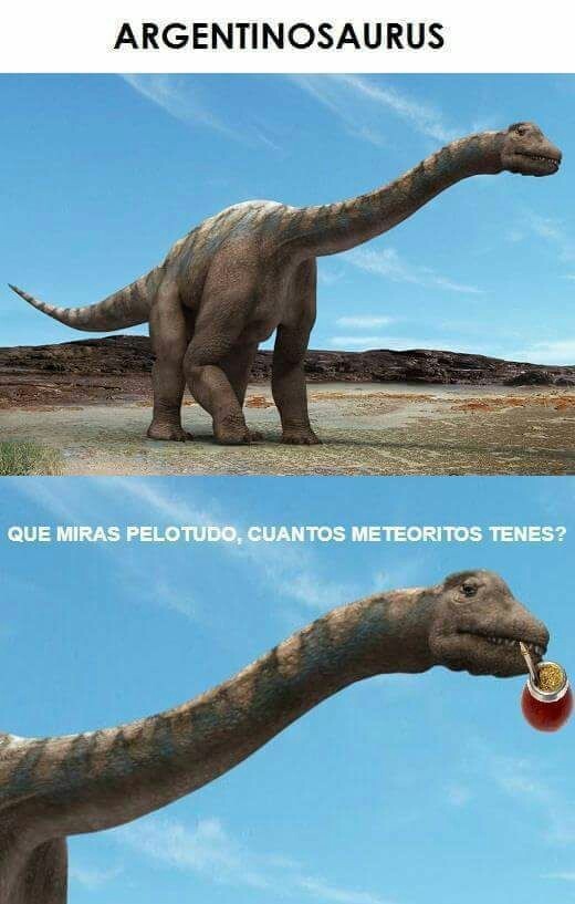 5ee6364251f13.jpeg