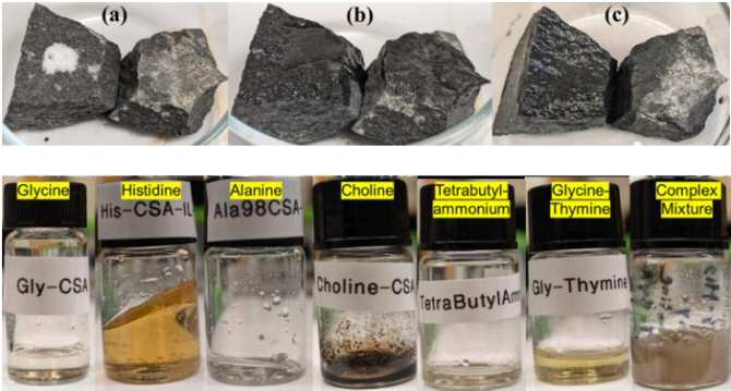 noticiasdelaciencia.com