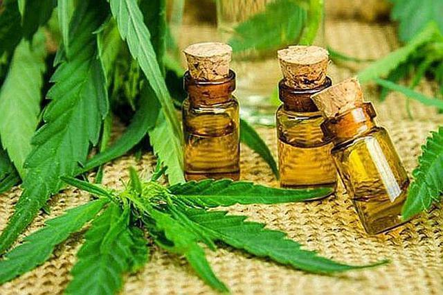 Se estima que el mercado de cannabis medicinal moverá US$100 millones en el Perú hacia el 2028.