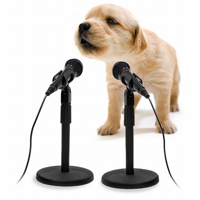 motu-track-16-interfejs-audio